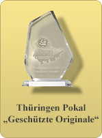 Pokal 2008